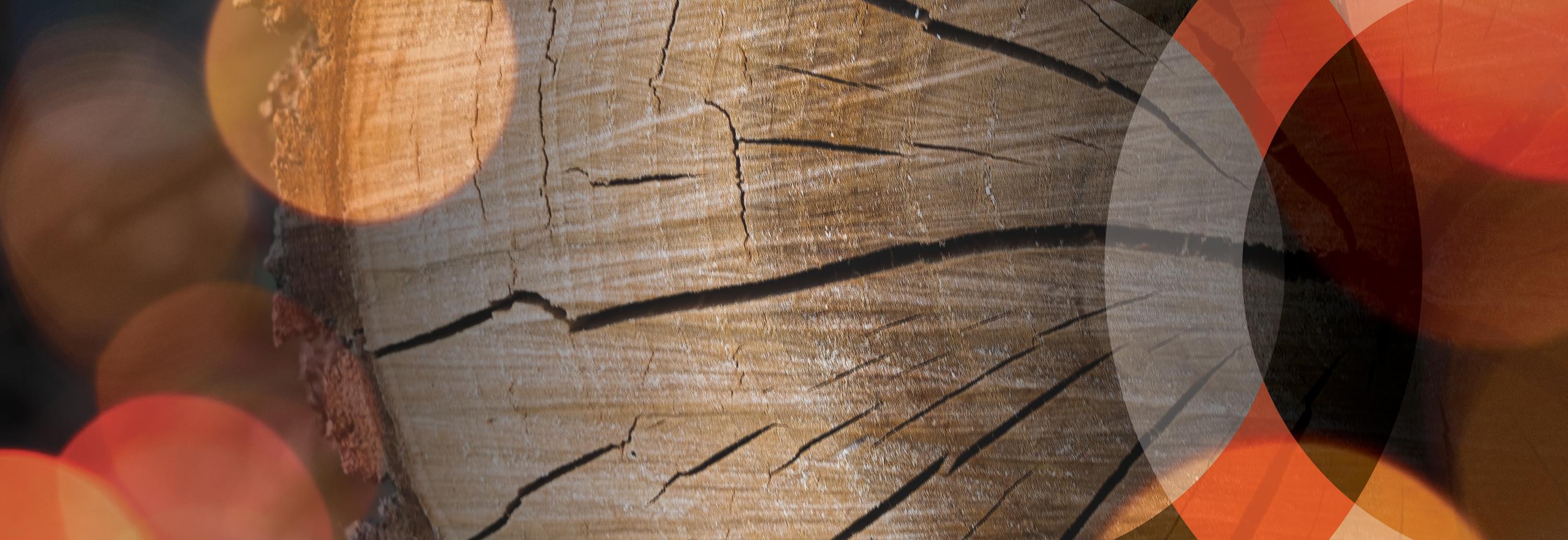Blog post header image 1440 x 496