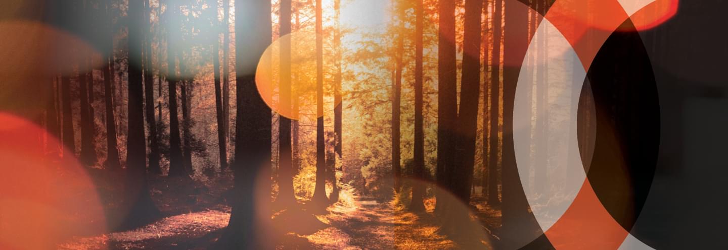 Blog post header image 1440 x 496