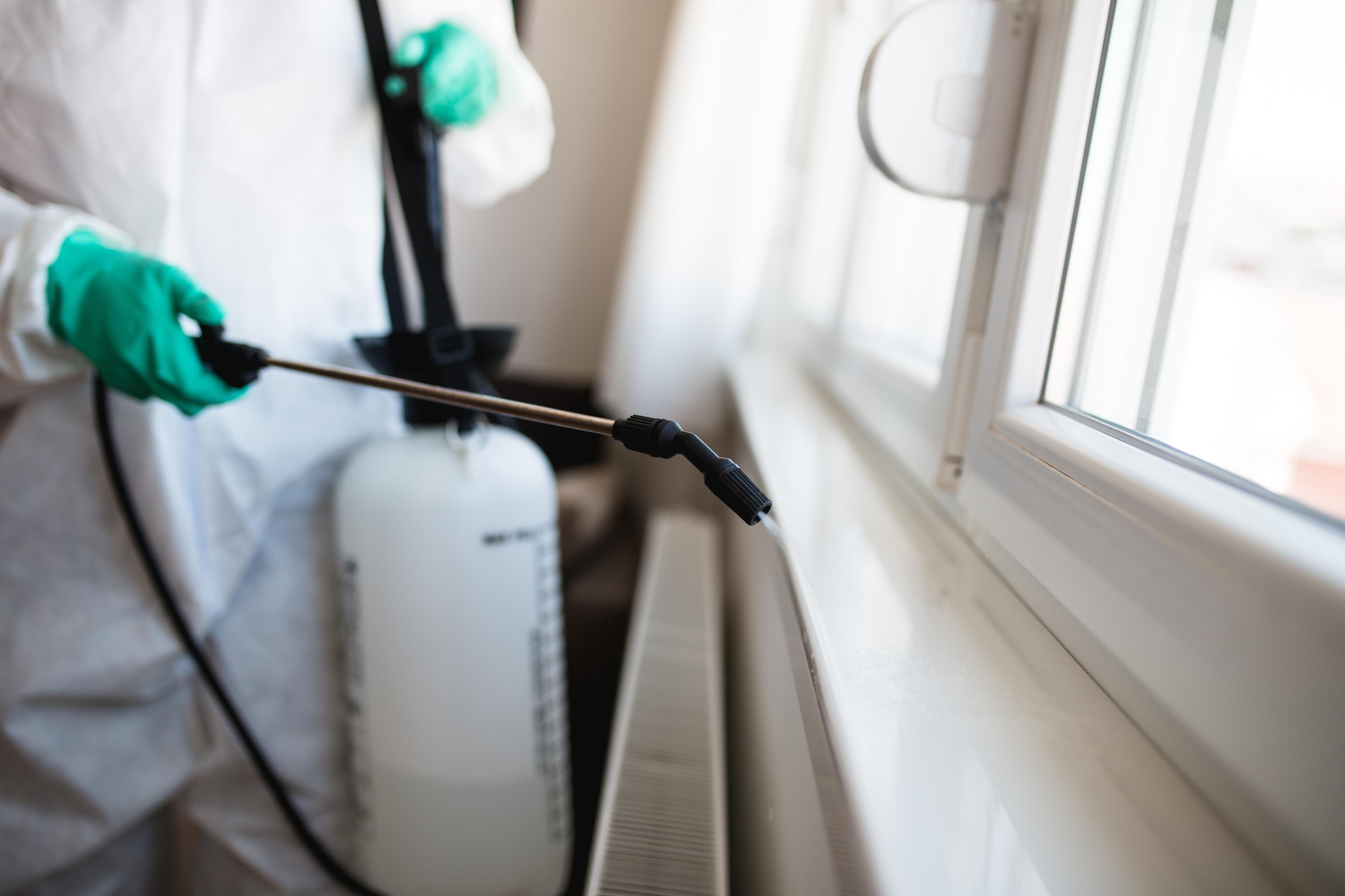 Pest Control Services