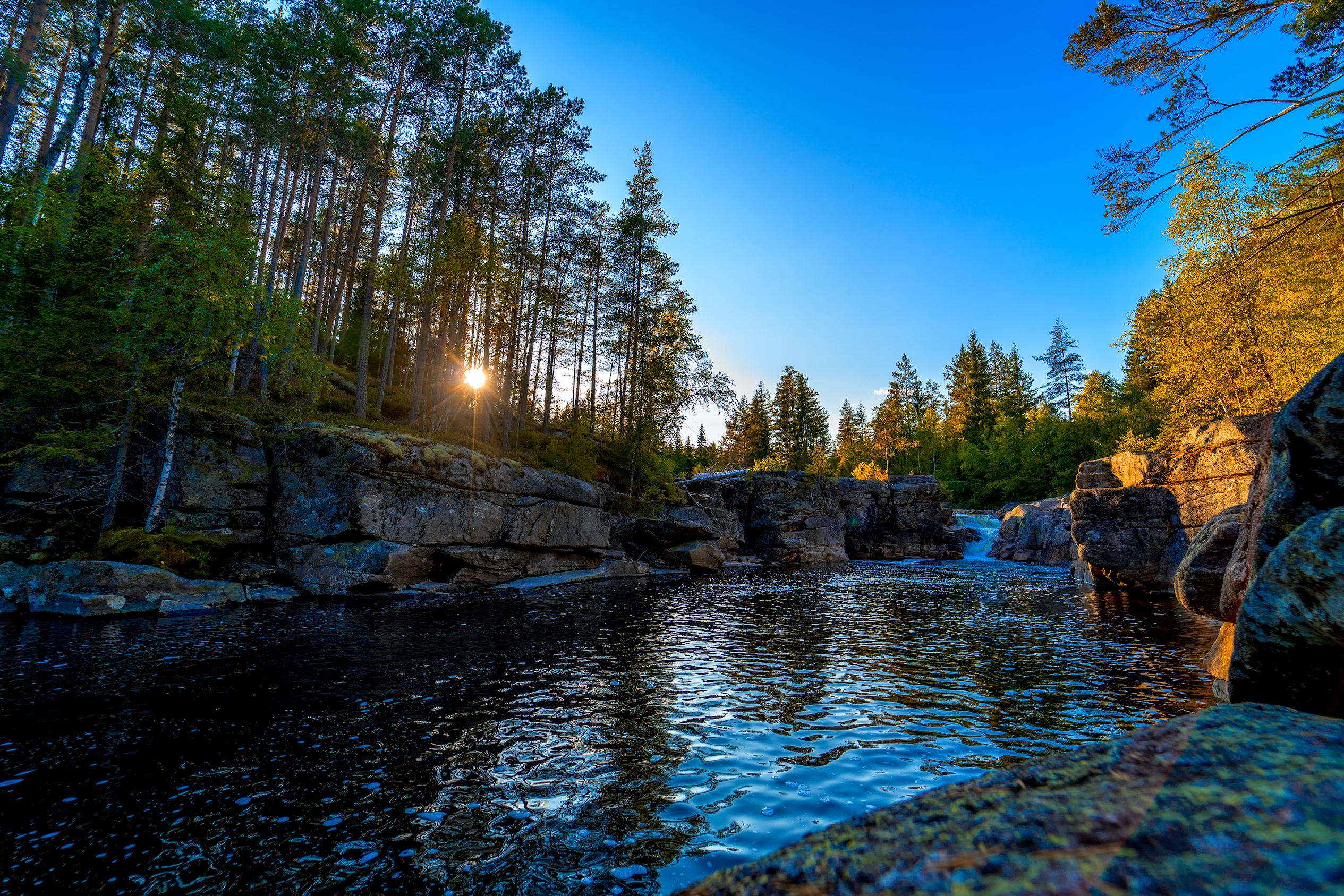 Shutterstock 1354128881